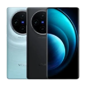 Vivo X100